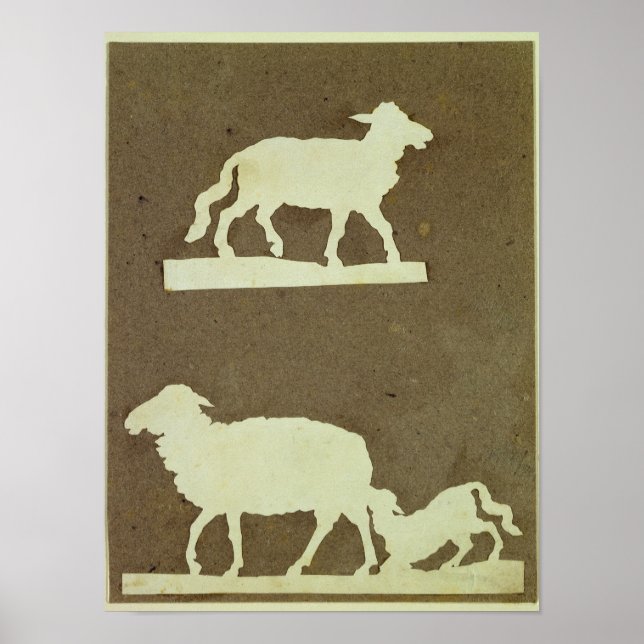 Affiches Mouton et mouton avec agneau (Devant)