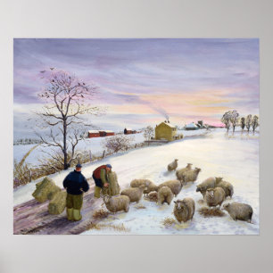 Affiches Moutons de alimentation en hiver