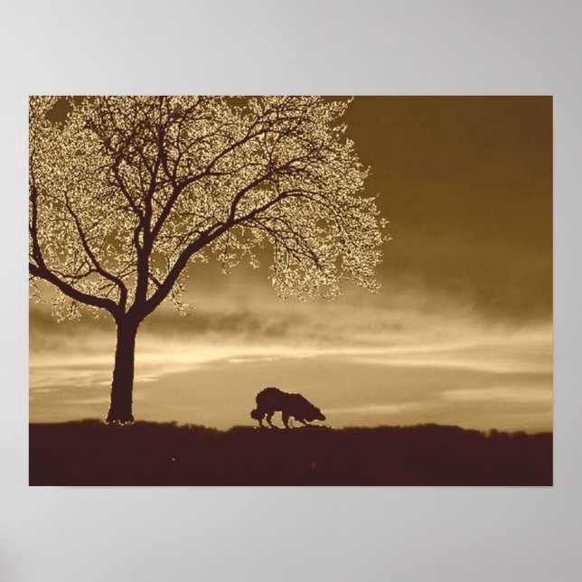 Affiches "Moutons sur l'Horizon 3"~Poster Collie frontalier (Devant)