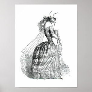 Affiches Mouvement d'insecte