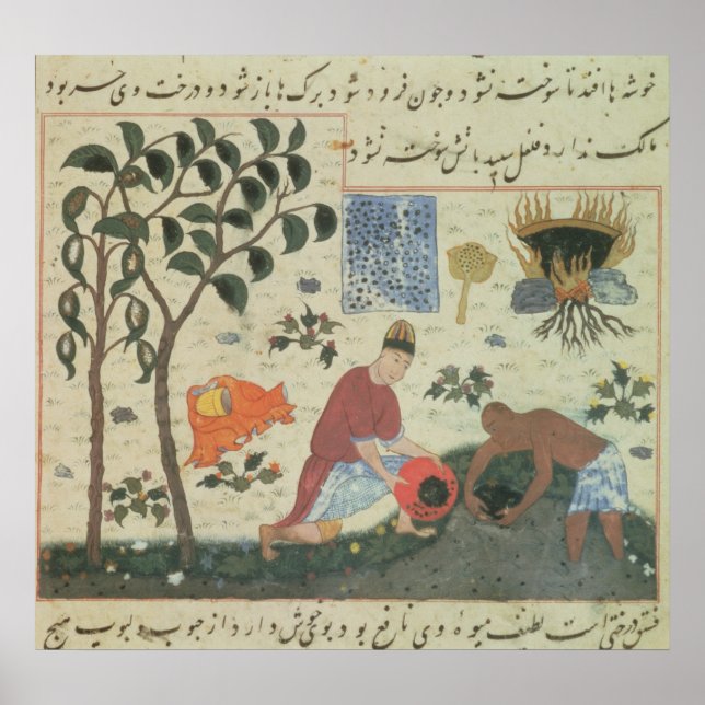 Affiches Ms Pers 332 Poivron et préparation du poivre (Devant)