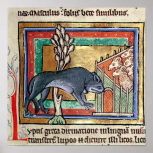 Affiches MS Roy Un loup à l'extérieur d'une bergerie