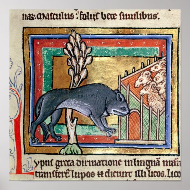 Affiches MS Roy Un loup à l'extérieur d'une bergerie (Devant)