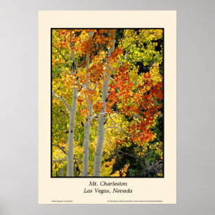 Affiches Mt. Charleston NV Automne Couleur d'automne Aspen