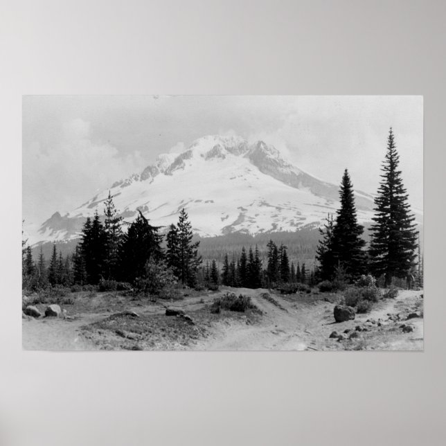 Affiches Mt. Hood Vue du camp du gouvernement Photo (Devant)