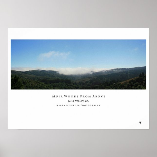 Affiches "Muir Woods d'en haut" (Devant)