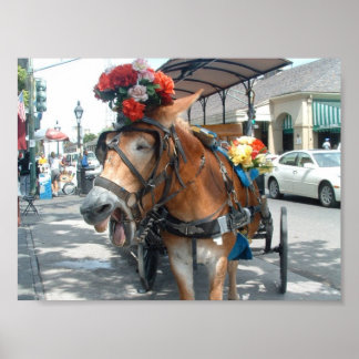 Affiches Mule