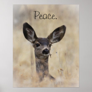 Affiches Mule Deer Fawn