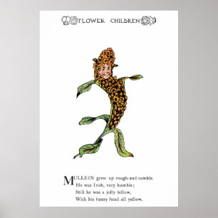 Affiches Mullein