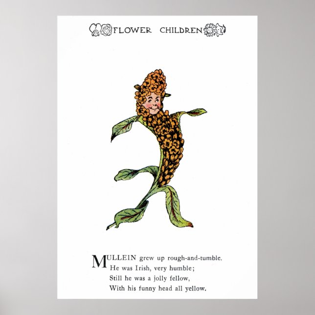 Affiches Mullein (Devant)