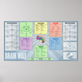 Affiches Mur du cerveau