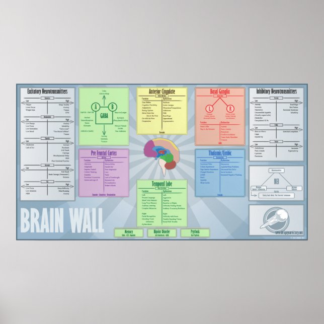 Affiches Mur du cerveau (Devant)