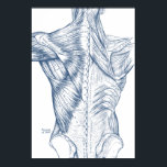 Affiches Muscles de dos Médicales vintages bleu (1890)<br><div class="desc">Il s'agit d'une illustration médicale vintage qui offre une vue détaillée de la musculature du dos.</div>