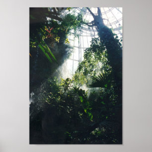 Affiches Musée des Sciences et de la Nature de Houston