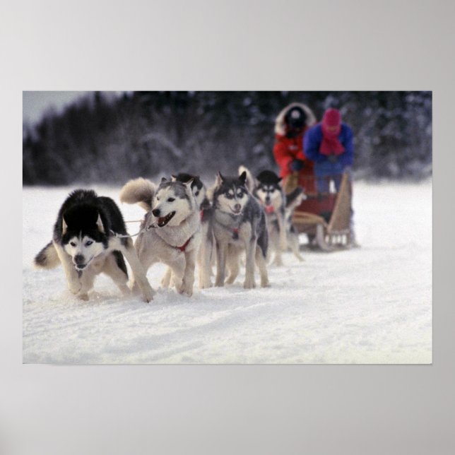 Affiches Mush (Devant)