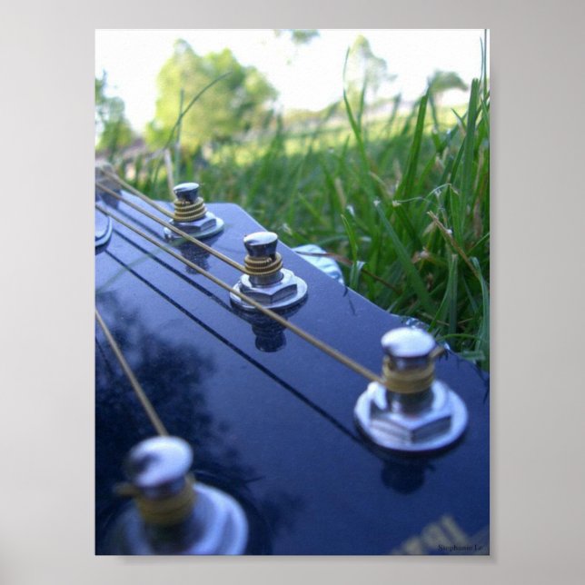 Affiches Musique dans la nature (Devant)