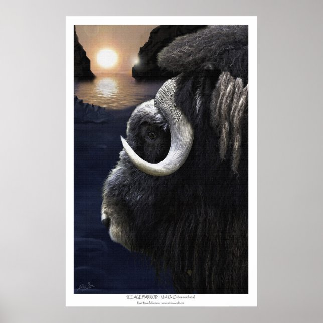 Affiches MUSK OX & ARCTIC SUN Art Print (Devant)
