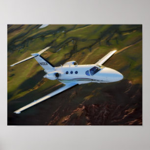 Affiches Mustang de prairie