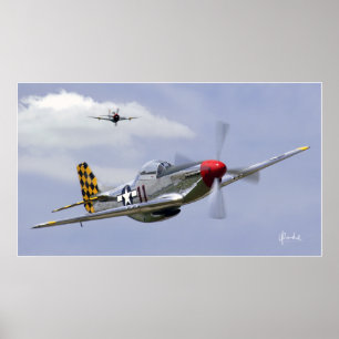 Affiches Mustang et Thunderbolt