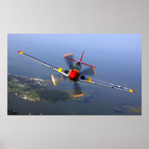 Affiches Mustang P-51