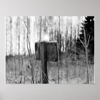 Affiches Mystérieux