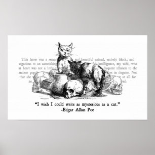 Affiches Mystérieux Chats