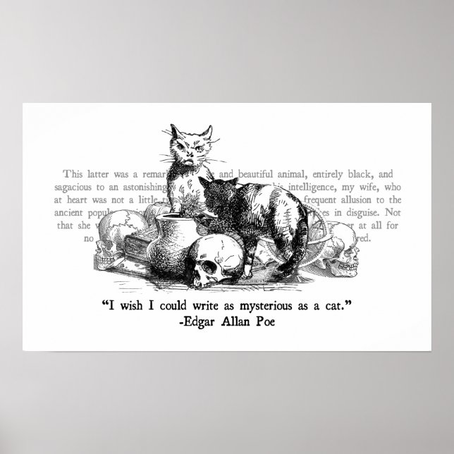 Affiches Mystérieux Chats (Devant)