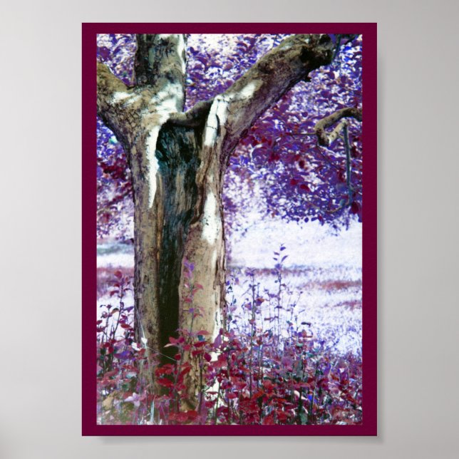 Affiches Mystical tree (Devant)