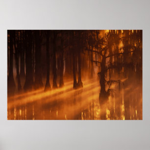 Affiches N.A., États-Unis, Géorgie, Parc d'état George S