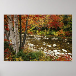 Affiches N.A., États-Unis, New Hampshire, White Mountains,