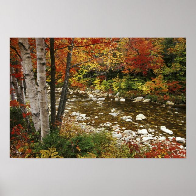 Affiches N.A., États-Unis, New Hampshire, White Mountains, (Devant)