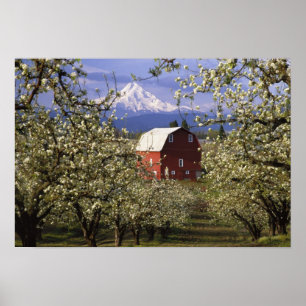 Affiches N.A., États-Unis, Oregon, comté de Hood River. Red