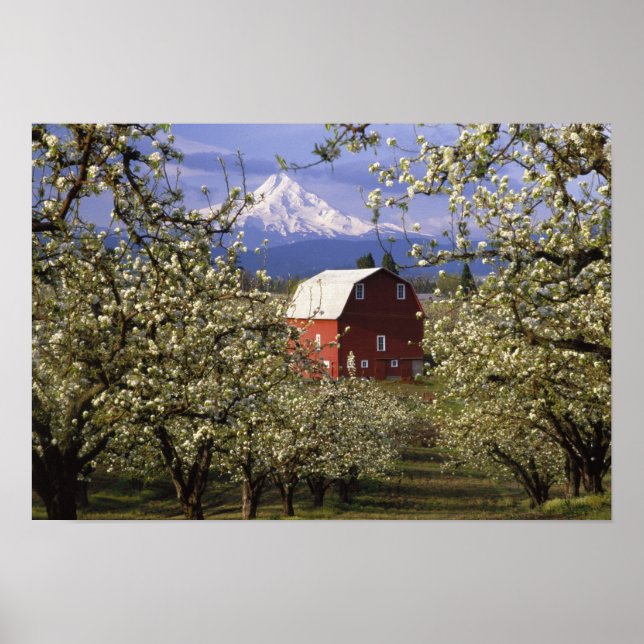 Affiches N.A., États-Unis, Oregon, comté de Hood River. Rou (Devant)