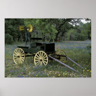 Affiches N.A., États-Unis, Texas, Devine, Vieux chariot et