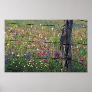 Affiches N.A., États-Unis, Texas, Lytle, Fence post et