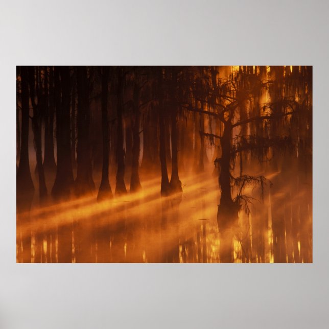 Affiches N.A., USA, Géorgie, Parc d'état George Smith. (Devant)