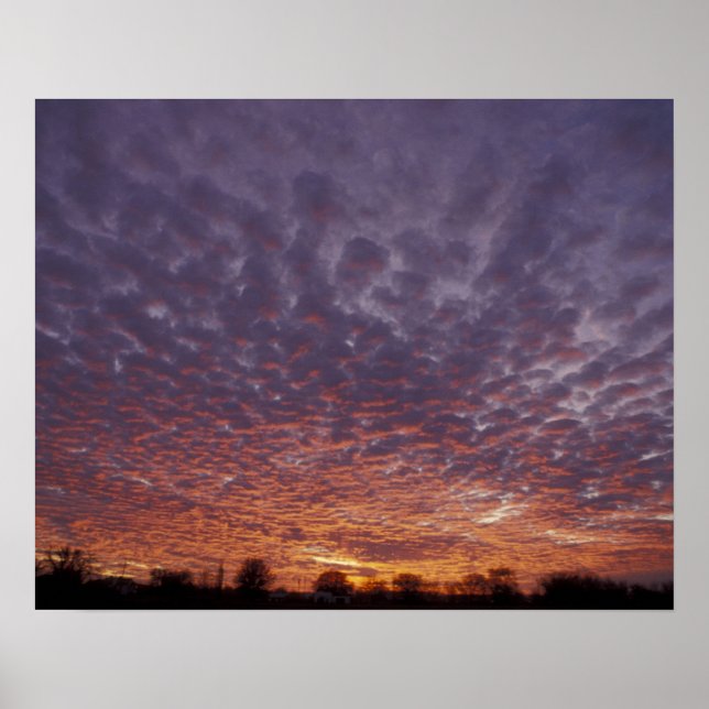 Affiches N.A., USA, Nouveau-Mexique, près de Las Cruces, (Devant)