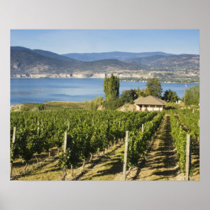 Affiches NA; Canada; Colombie-Britannique; vallée de l'Okan