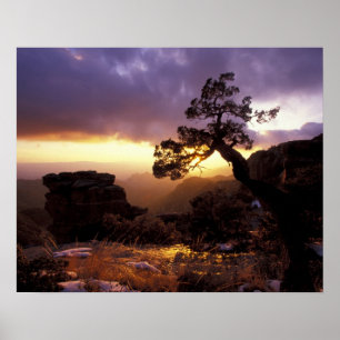 Affiches NA, États-Unis, Arizona, Tucson, Coucher de soleil