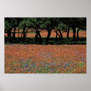 Affiches NA, Texas, Texas Hill Country, Buchan Dam,