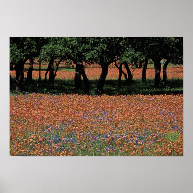 Affiches NA, Texas, Texas Hill Country, Buchan Dam, (Devant)