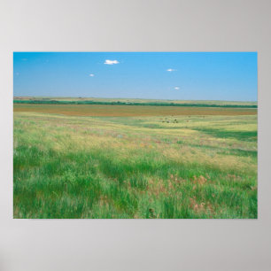 Affiches NA, USA, NE. Grandes terres près d'Ogallala avec