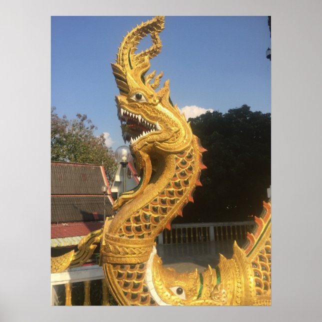 Affiches Naga à Doi Suket, Chiang Mai, Thaïlande (Devant)
