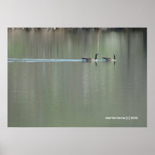 Affiches Nage d'amour