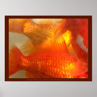 Affiches Nager Avec Les Fishies