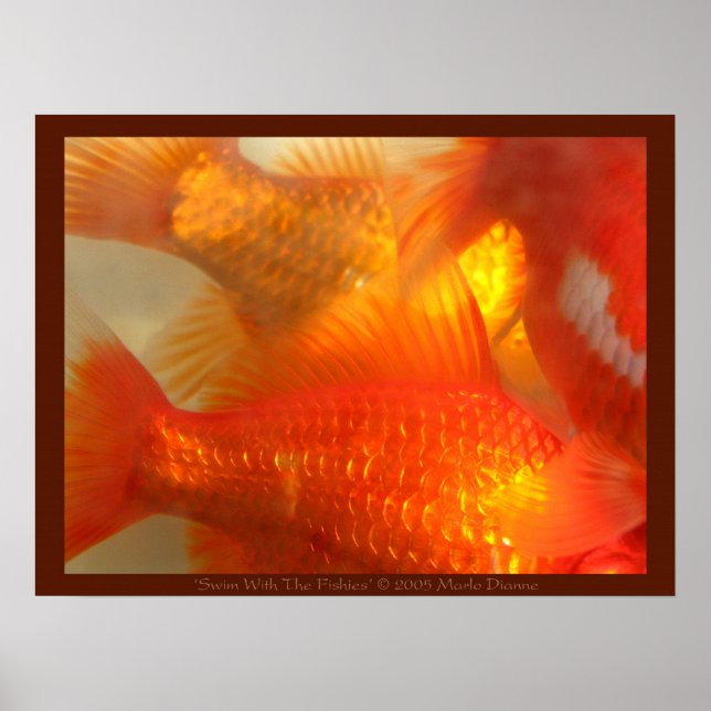 Affiches Nager Avec Les Fishies (Devant)