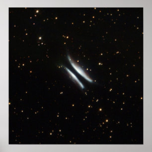 Affiches NASA - Hamburger de Gomez