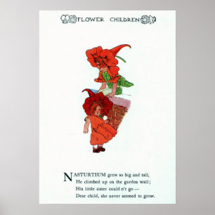 Affiches Nasturtium