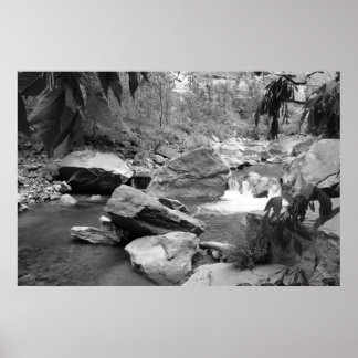 Affiches Nature en noir et blanc