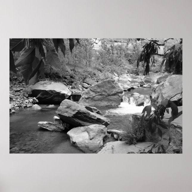 Affiches Nature en noir et blanc (Devant)